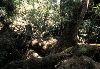 land02l.JPG