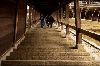 NaraPark36-l.jpg