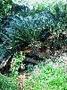 RIMG0116_l.jpg