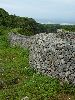 319okinawa0130_l.jpg