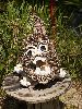 IMG_6488_l.jpg