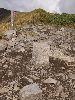 IMGP0220_l.jpg