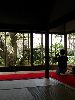 IMG_0240_l.jpg