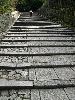 IMG_0418_l.jpg