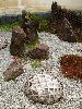 IMG_0437_l.jpg