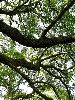 IMG_0438_l.jpg