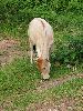 0577_l.jpg