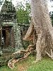 0559_l.jpg