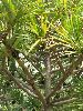 IMG0530_l.jpg