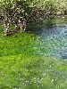 IMG_0053_l.jpg