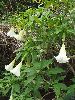 DSCF1491_l.jpg