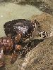 DSCF1405_l.jpg