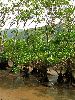 IMG_0080_l.jpg