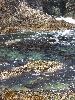DSCF2288_l.jpg