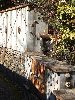 DSCF6266_l.jpg