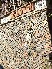 DSCF6269_l.jpg