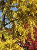 DSCF0010_l.jpg