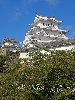 IMG_0026_l.jpg