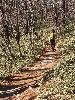 DSCF4124_l.JPG