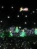 IMG_0128_l.JPG