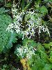 P9270004_l.JPG