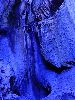 DSC0180_l.JPG