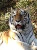 DSC0054_l.JPG