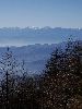 DSC00039_l.JPG