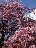 DSC00027_l.JPG