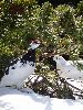 DSC00093_l.JPG