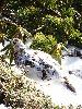 DSC00120_l.JPG
