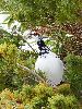 DSC00212_l.JPG