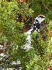 DSC00220_l.JPG