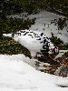 DSC00264_l.JPG