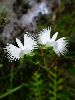 DSC00039_l.JPG