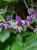 DSC00115_l.JPG