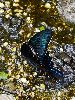 DSC0017_l.JPG