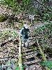 DSC0044_l.JPG