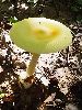 P9141743_l.JPG