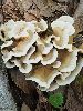 P9141751_l.JPG