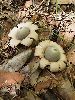 P9141758_l.JPG