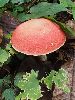 P9141763_l.JPG