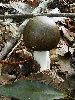 P9141827_l.JPG