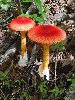 P9141833_l.JPG