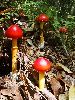P9141925_l.JPG