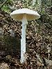 P9141946_l.JPG
