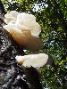 P9141966_l.JPG