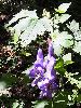 P9141978_l.JPG