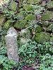 DSC0010_l.JPG