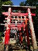 DSC0022_l.JPG